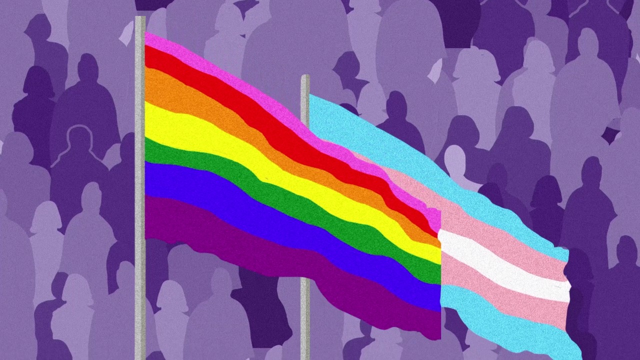 Imagem de bandeira LGBTQIA+ e bandeira do movimento Trans; imagem para a Campanha Escola de Qualidade